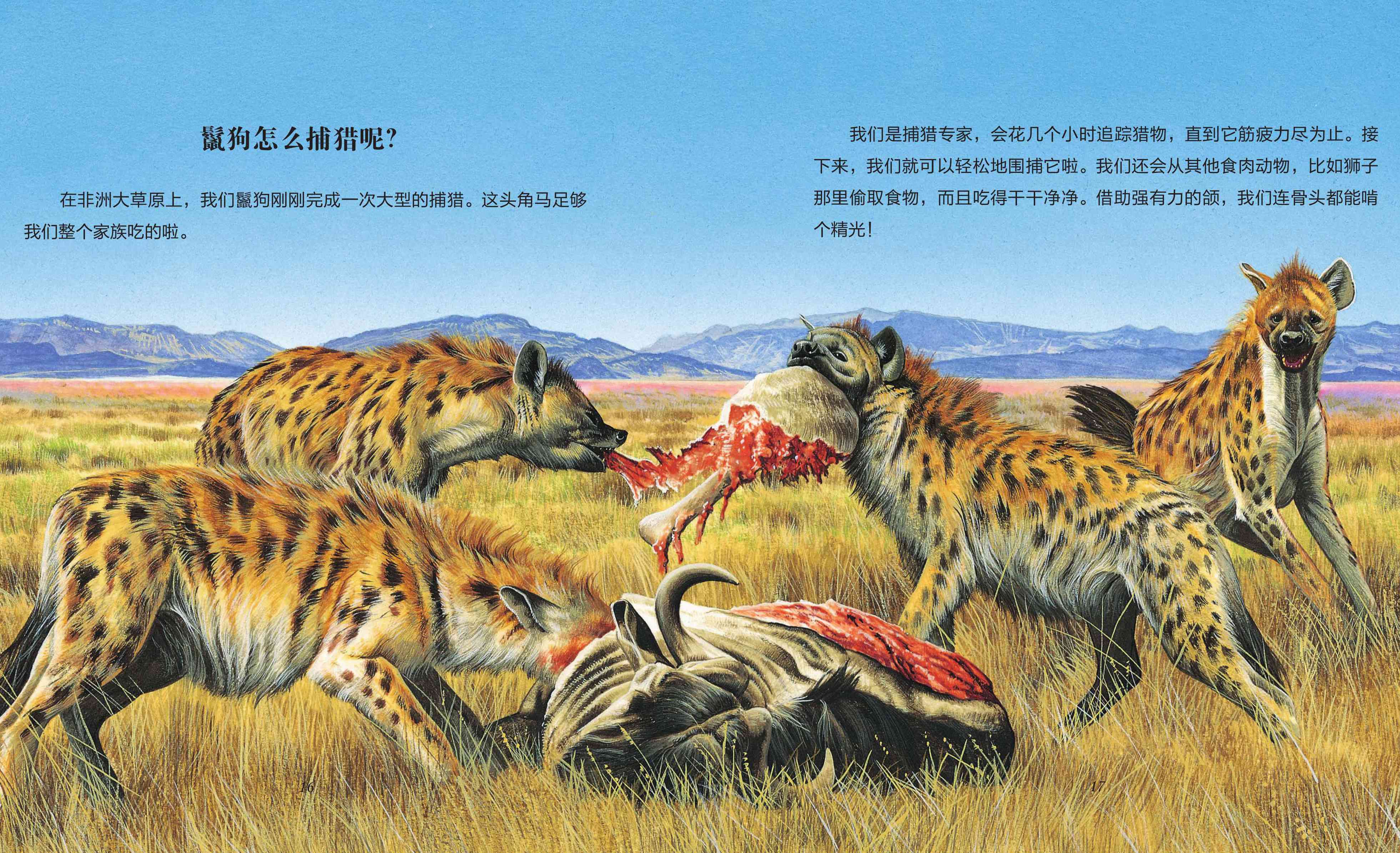 儿童绘本故事推荐食肉动物