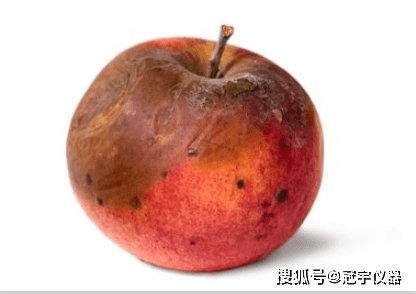 食品易腐烂变质,食用需注意_手机搜狐网