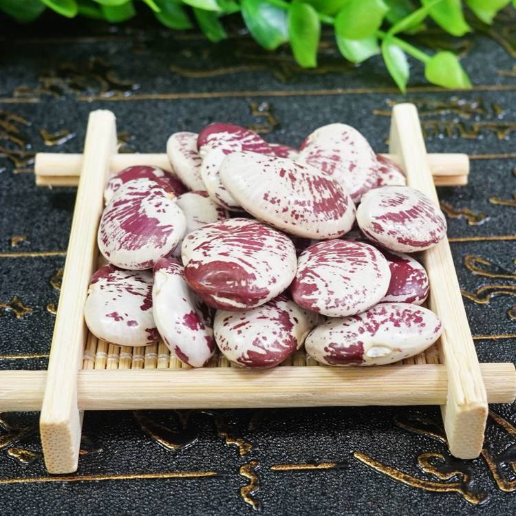 天气这么热你知道吃什么祛湿效果最好吗