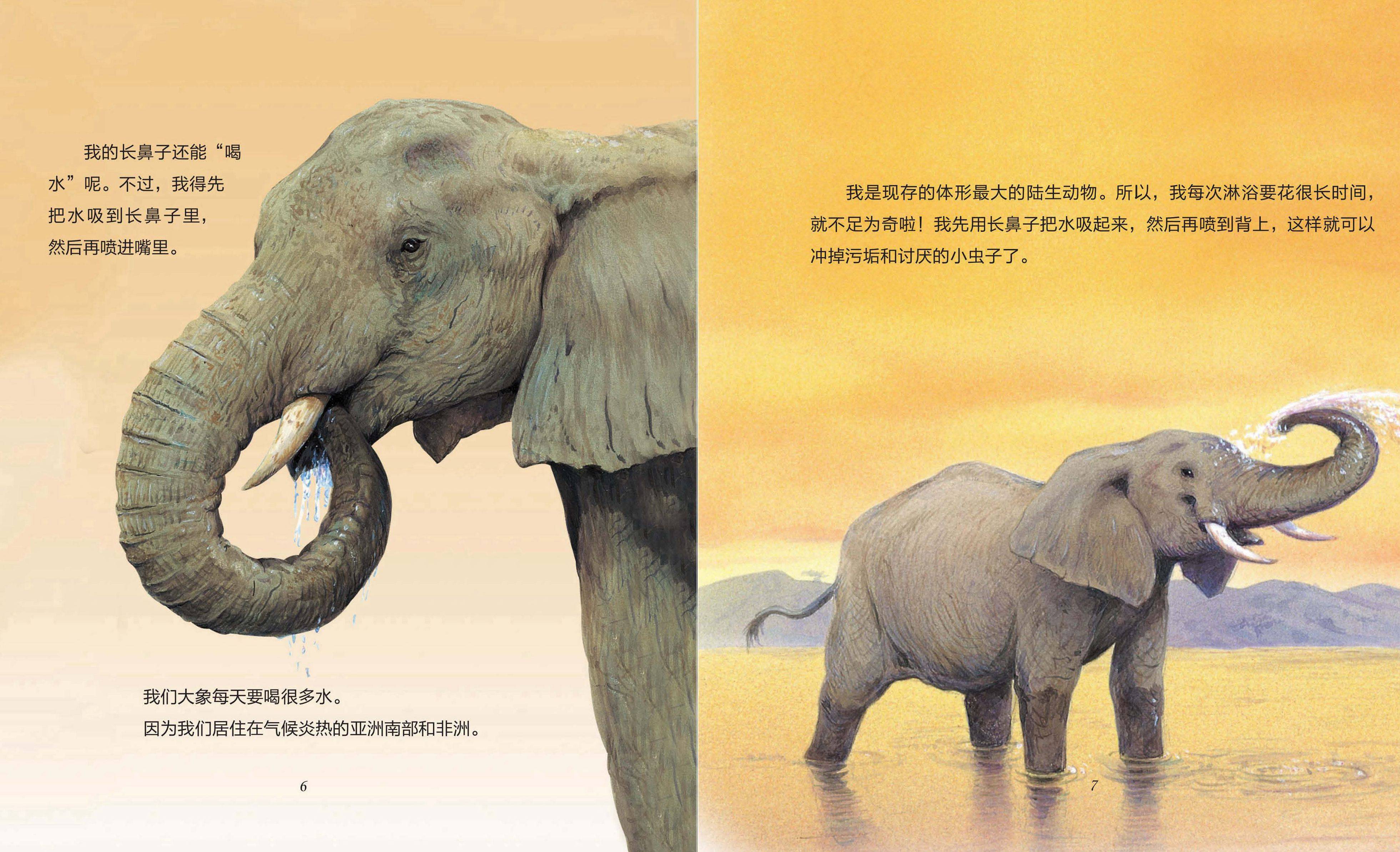 儿童绘本故事推荐《食草动物》