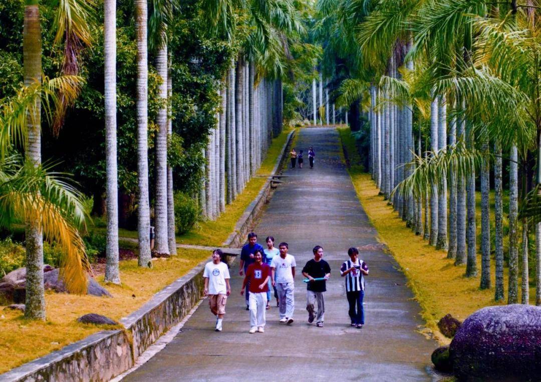 植物園佔地32頃,1958年建立,是原華南熱帶作物學院(1996年更名為華 