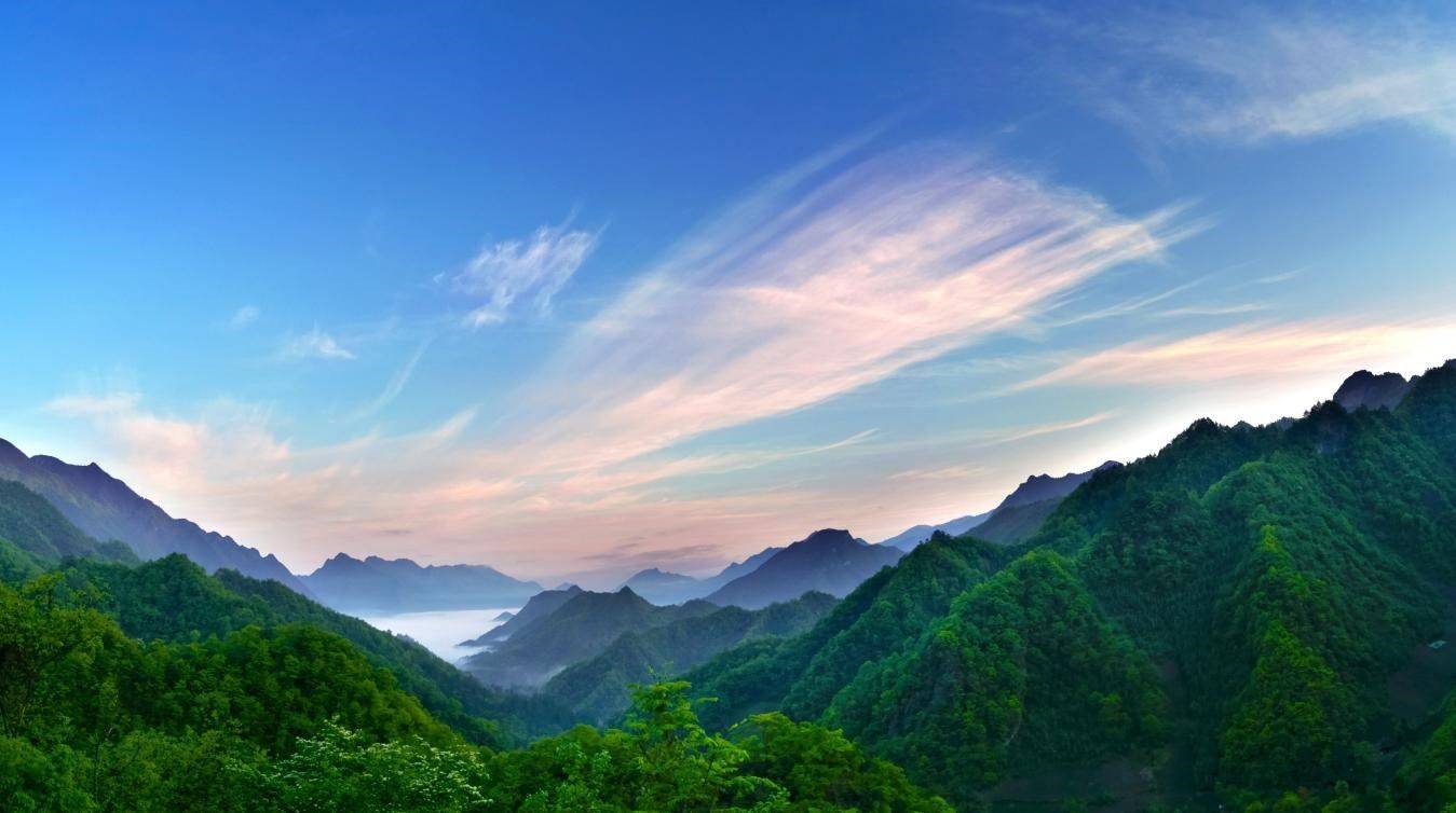 第九届中国大巴山消夏养生节开幕!重庆城口喊你来清凉一夏!