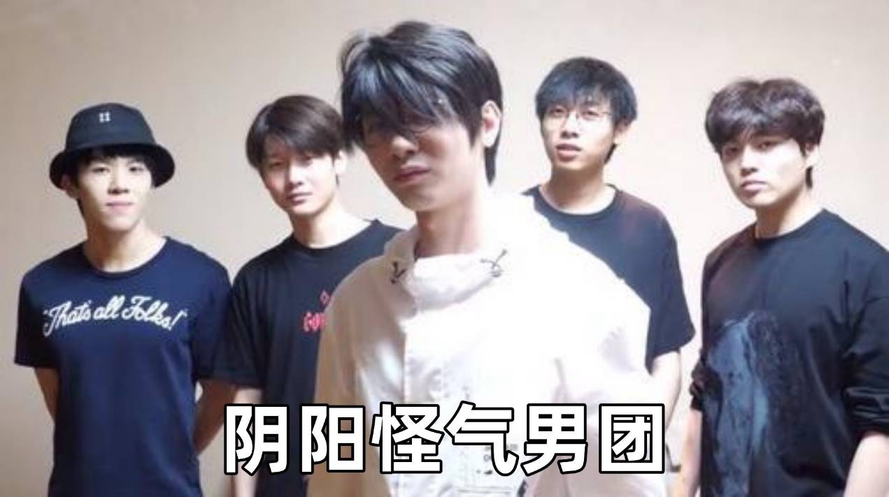 这五位up主的组合被称为b站"阴阳怪气"男团,也因此吸引到了一大批新粉