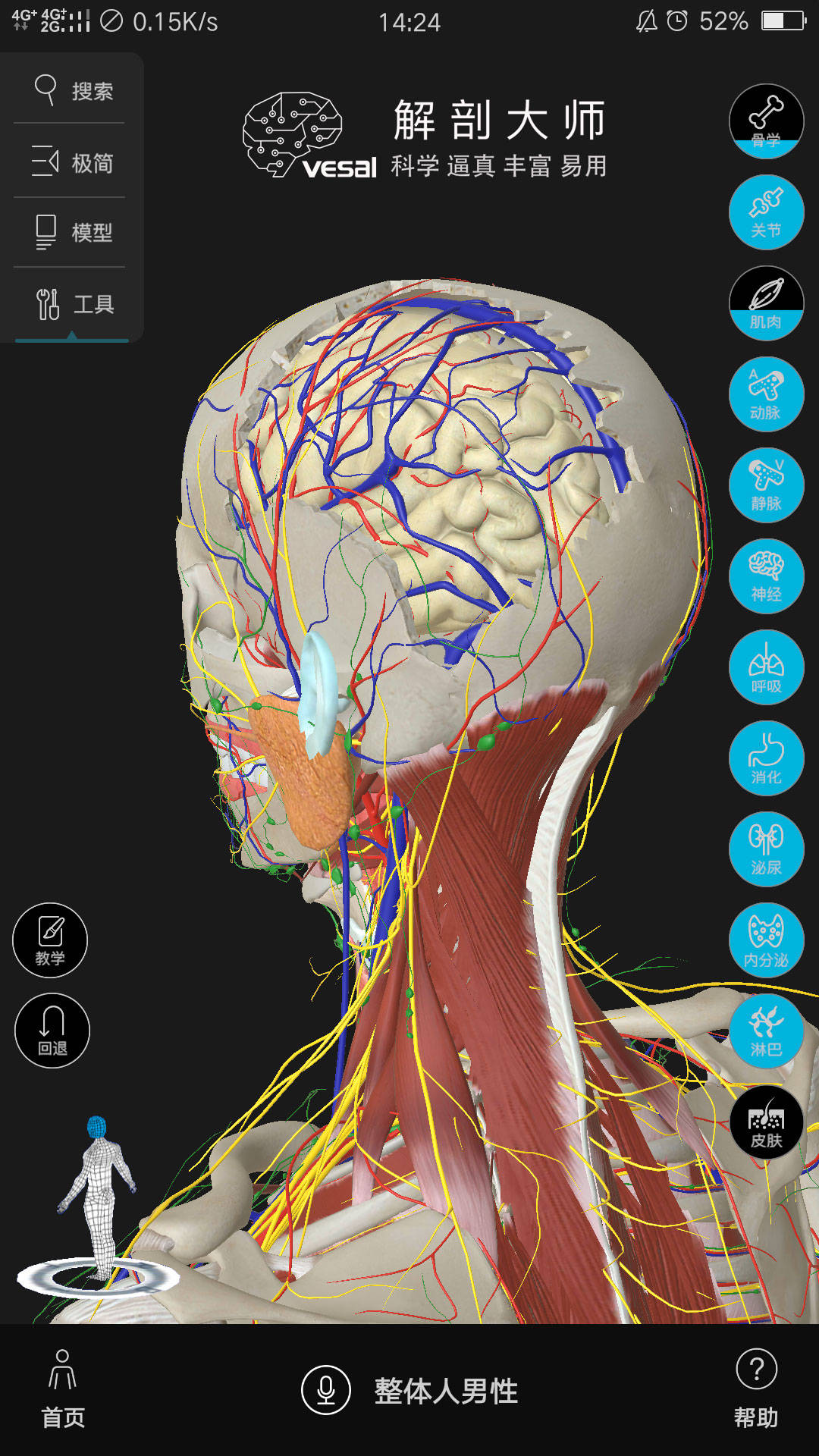 3d人体解剖图高清(支持ios,android,pad,win,mac)