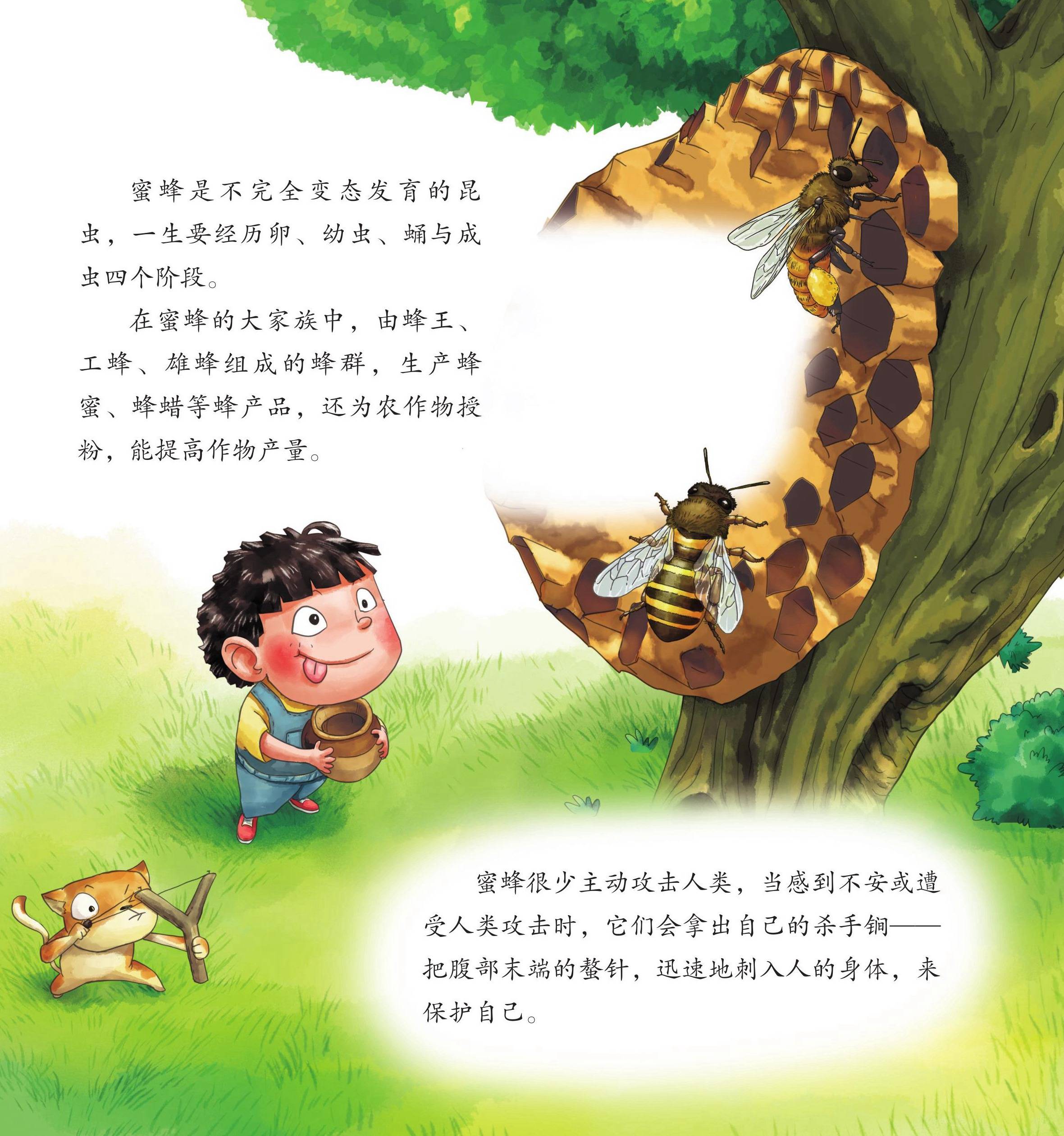 儿童绘本故事推荐《昆虫世界乐开怀中》