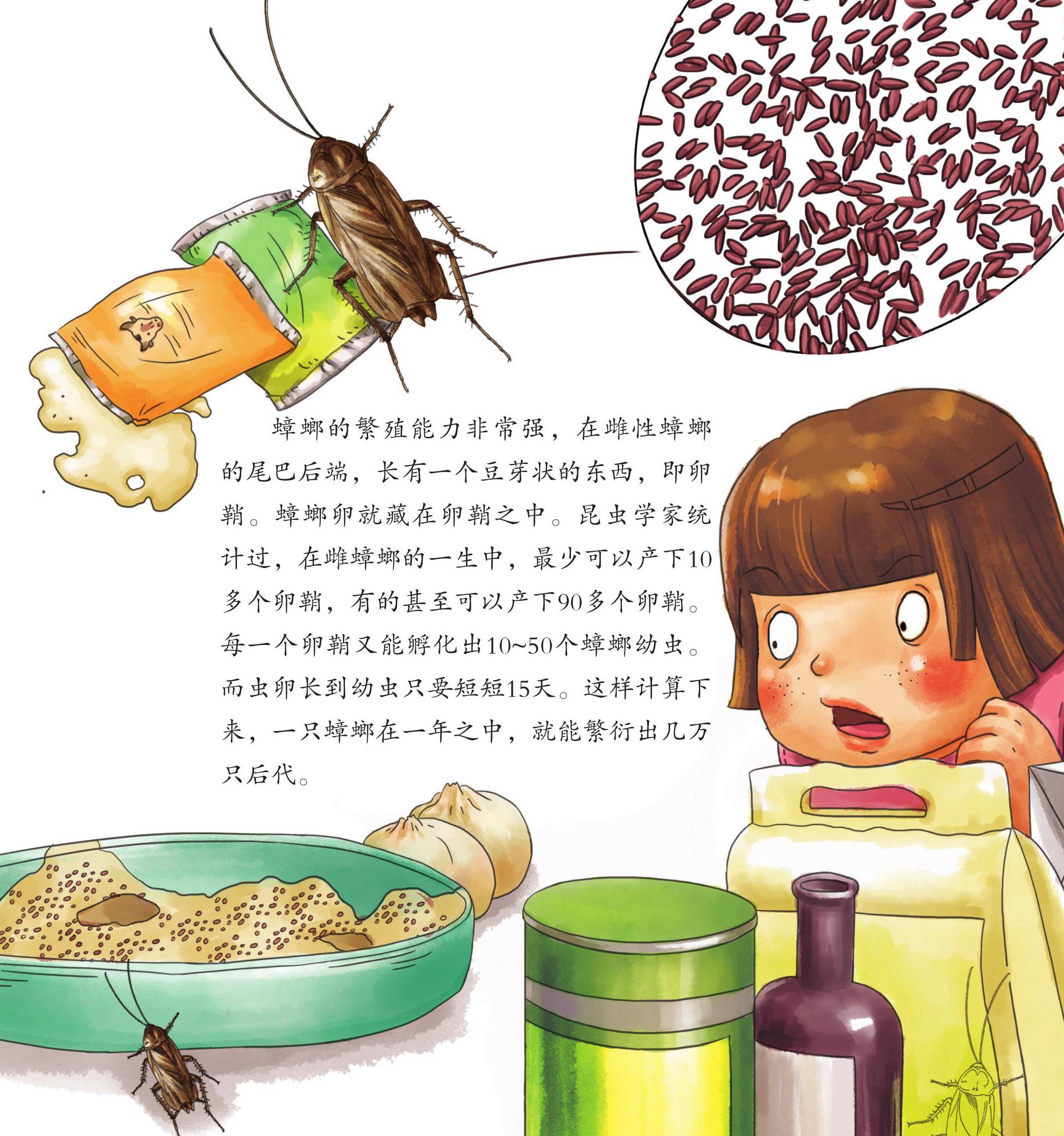 儿童绘本故事推荐《昆虫世界乐开怀上》