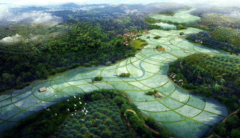 食用菌标准化生产大棚等.