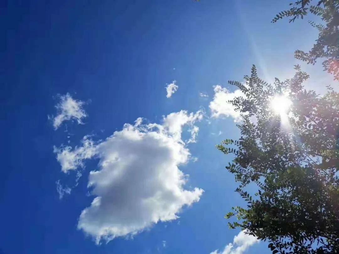 天蒙四季颂*作者:郭全义_费县