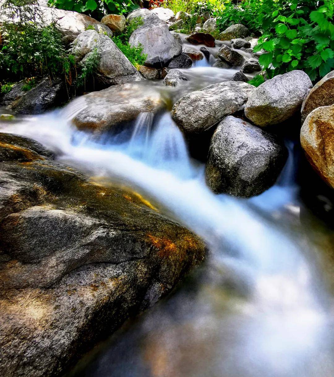 椿树沟风景图片