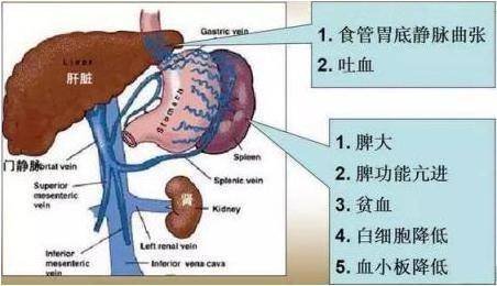 名医访谈