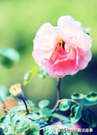 有哲理的人生感悟句子,句句有内涵,读读醒悟人生