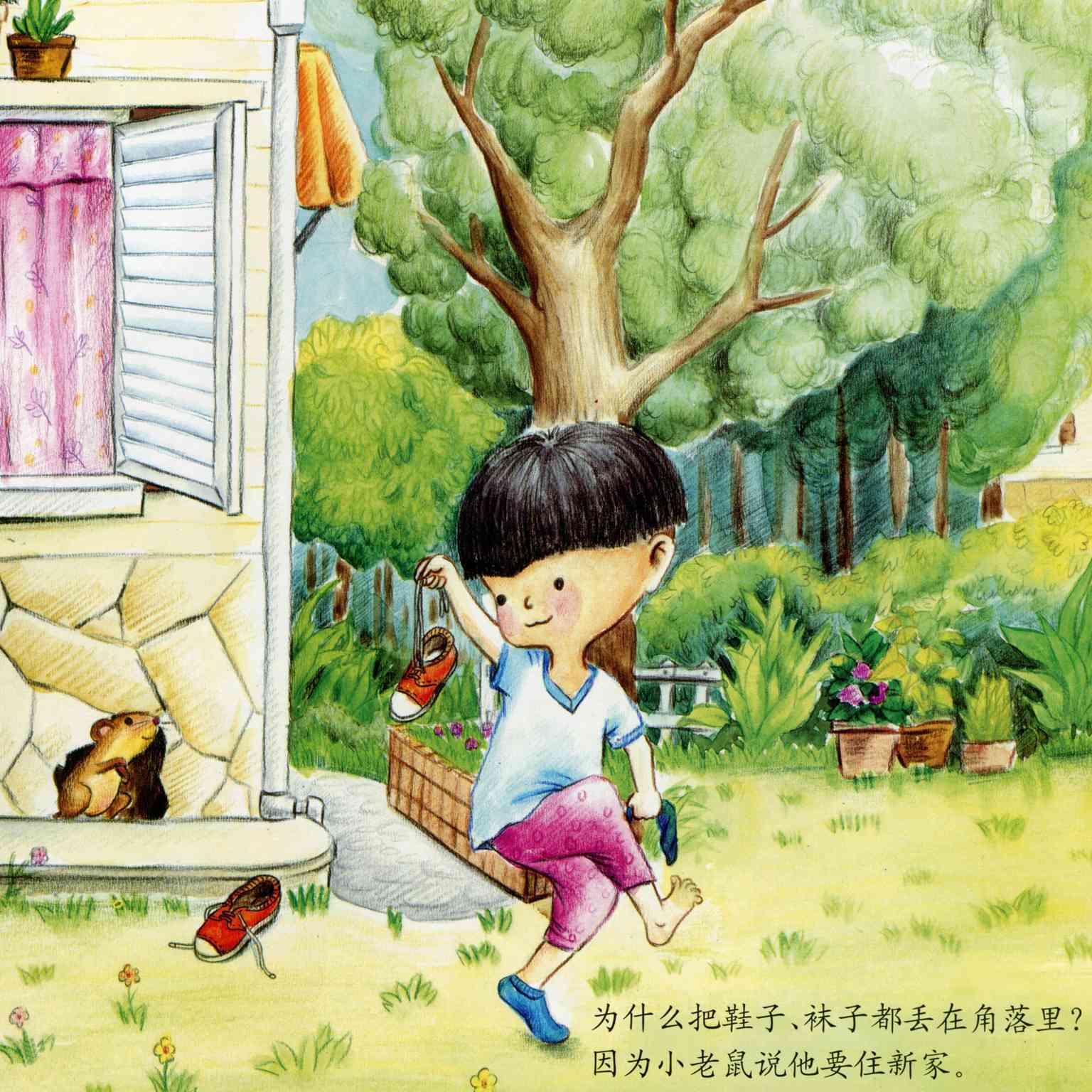 儿童绘本故事推荐《小豆,为什么》