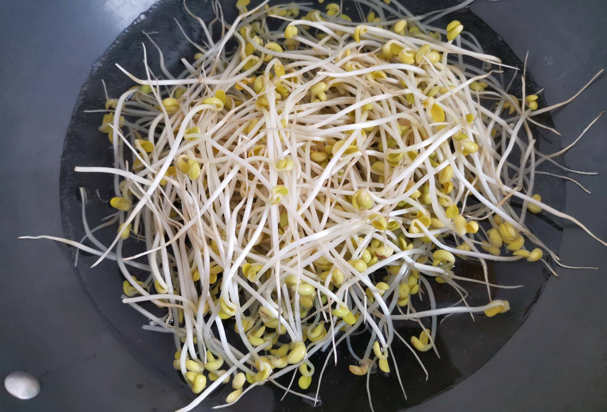 这菜,一斤9毛,隔三差五吃一次,排出黑宿便,养颜淡斑,腰肢细_黄豆芽