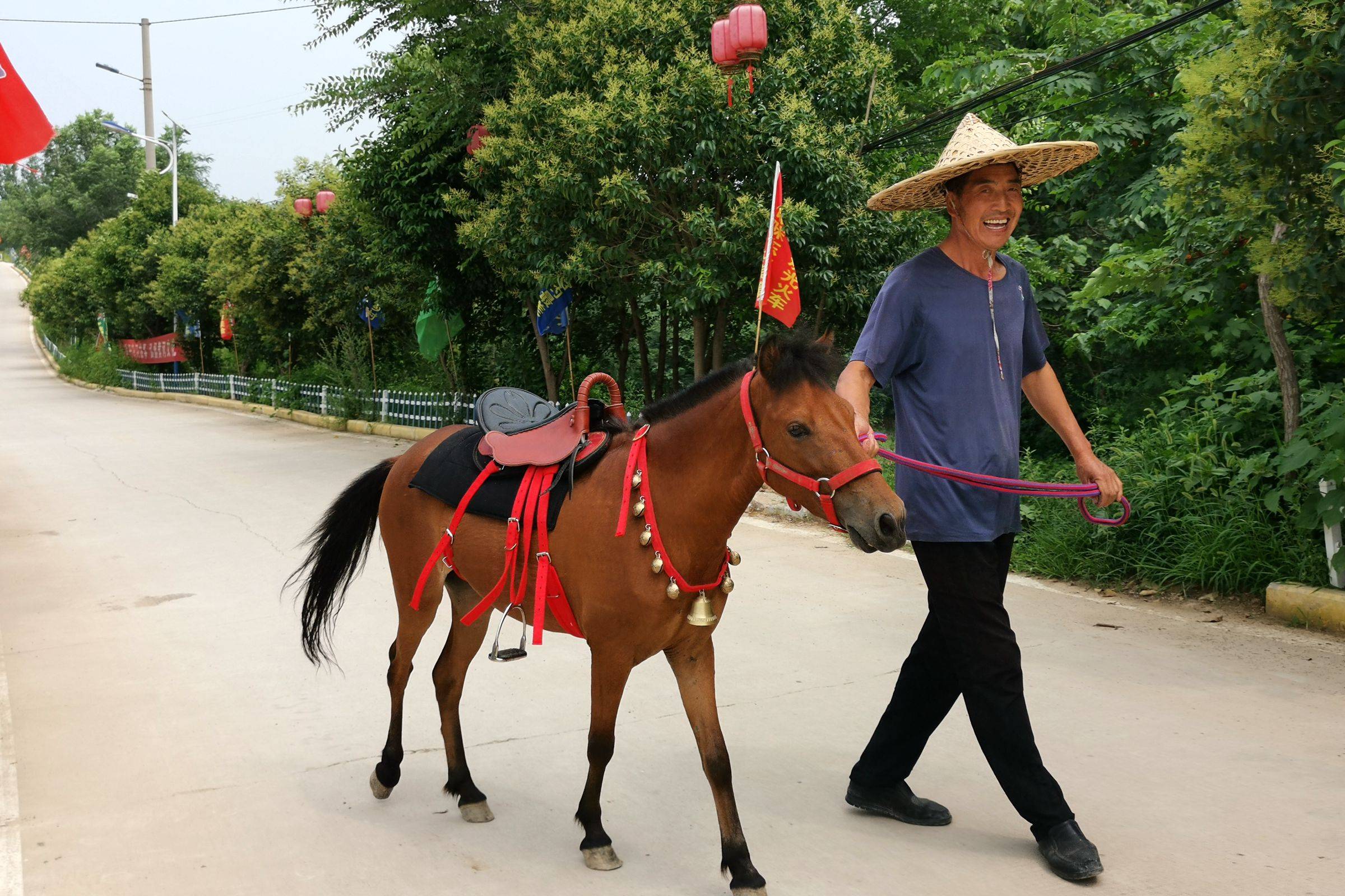 河南农民大哥养"小矮马"驮游客,人重马轻,看小马累成啥样