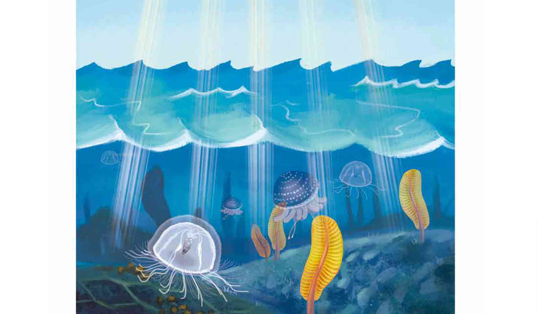 儿童绘本故事推荐《从海洋到陆地》