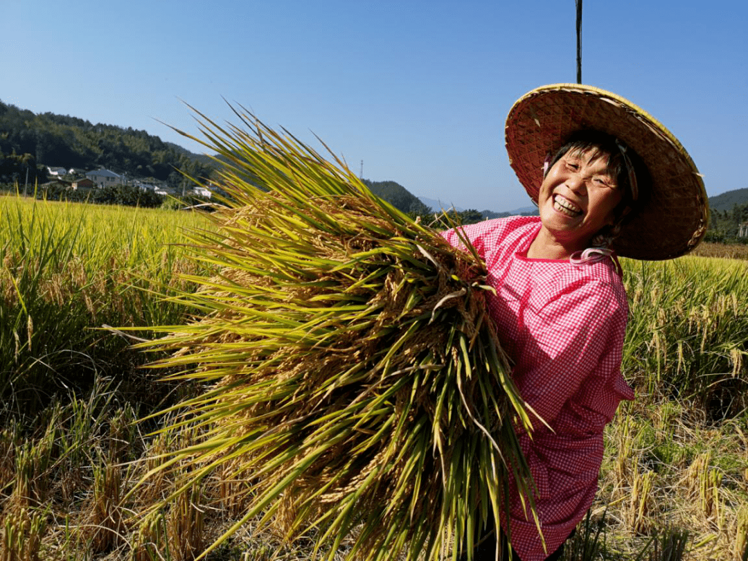 辛勤劳作,乐观生活是长寿的重要因素(郑玉连 摄)