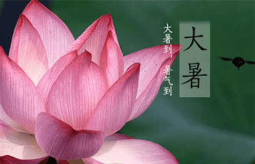 大暑至,饮食有所忌,养生要注意!