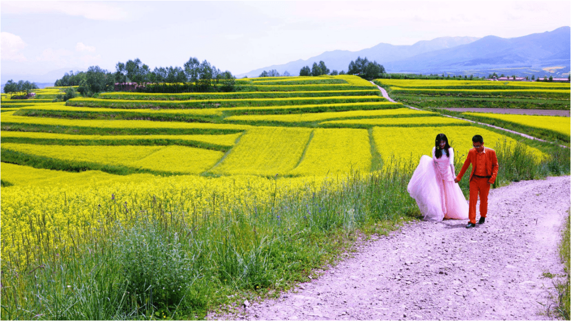 桂林有一景区却藏着这大片花海梯田,景色胜似人间仙境,让人来了都不想