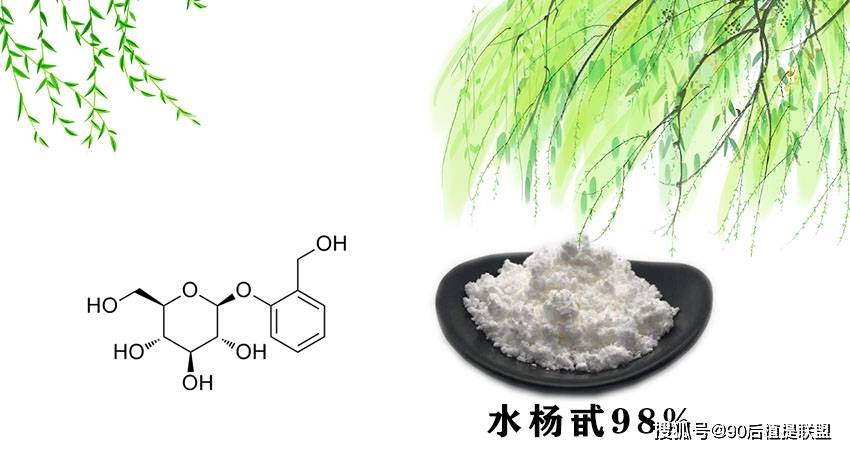 消炎祛痘抗油光神奇的白柳皮提取物水杨苷