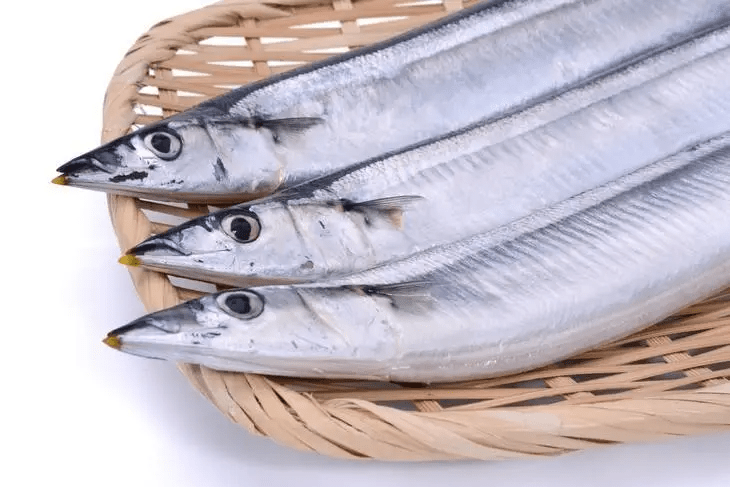 只要花龙虾二十分之一的价格,就可以把一样有深海血统的带鱼带回家!