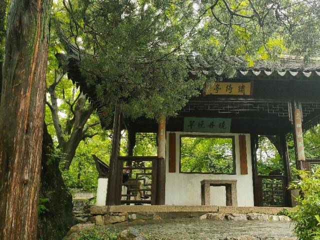绣绮园而中部景色最经典的是拙政园借景北寺塔园,这是去拙政园必须