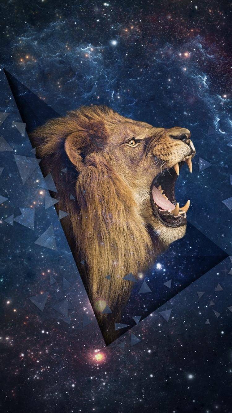 手机高清动物壁纸图片,手机动物壁纸大全高清