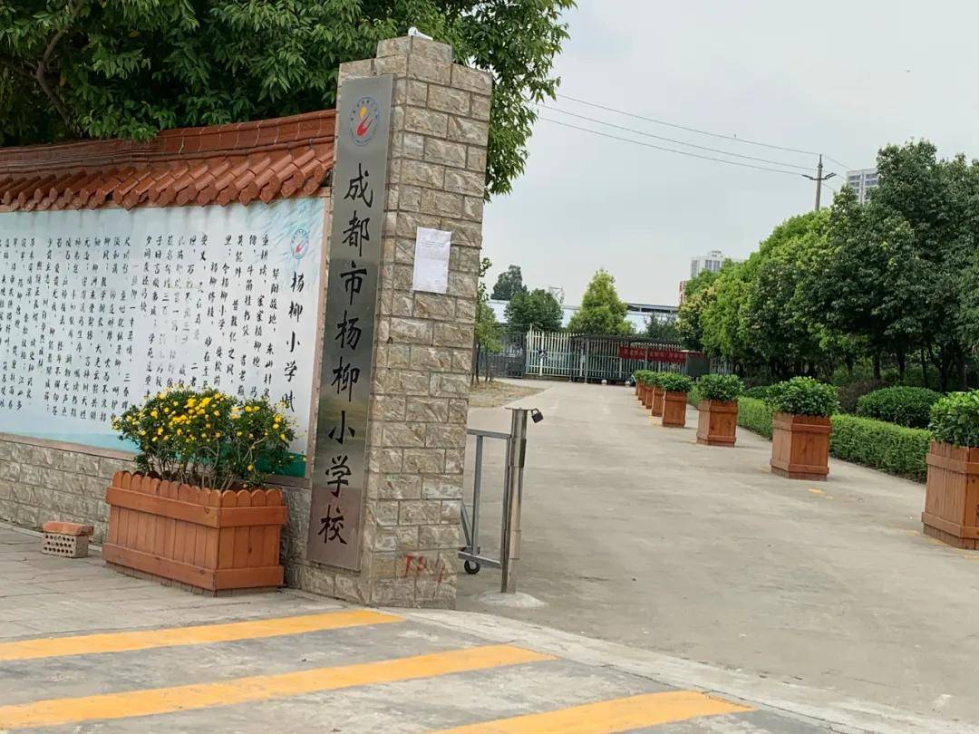 成都市杨柳小学图片