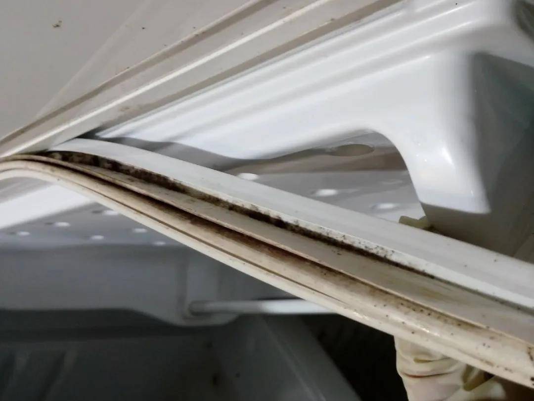 爱家一百:叮!你有一封冰箱先生的来信,请查收