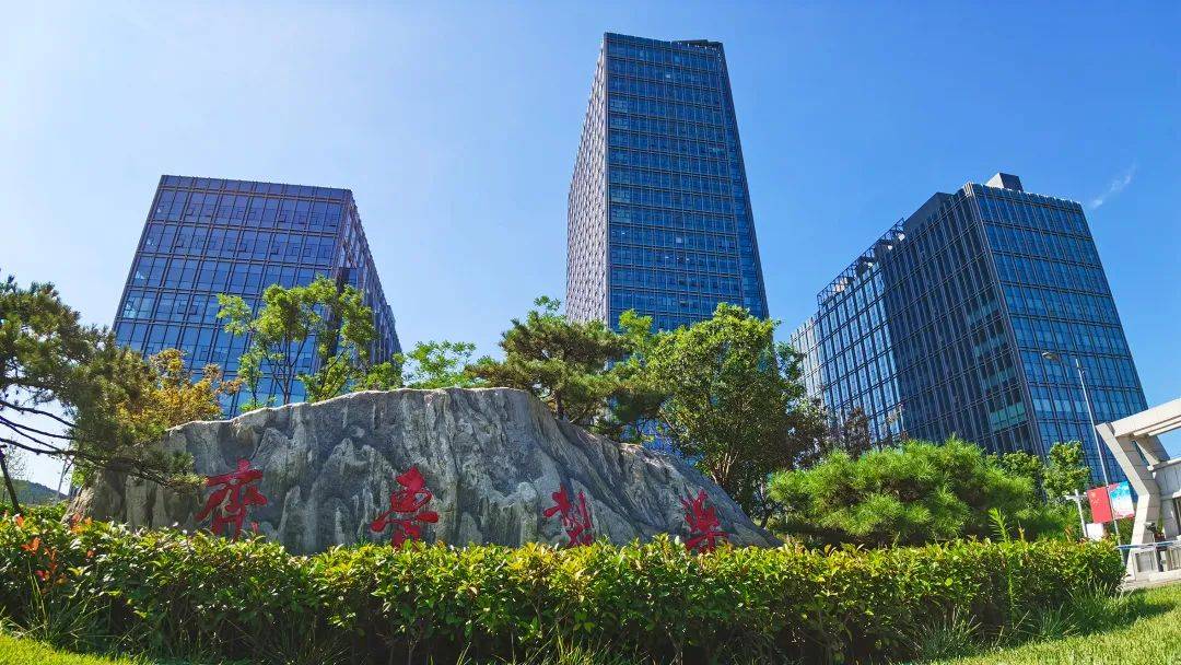 视觉齐鲁制药集团枝繁叶茂碧连天