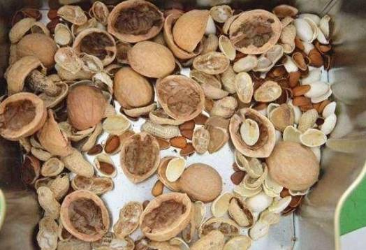 用这几种果壳养花,非常好