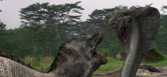 原创电影科摩多龙大战金刚巨蟒小伙被巨蟒袭击身体发生变异