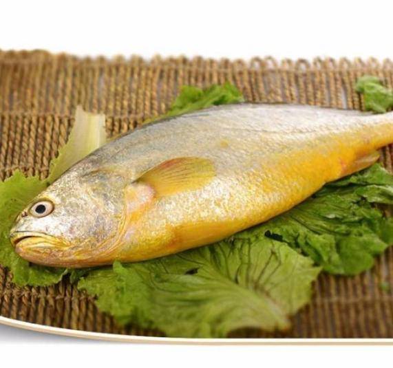 大黄鱼又名黄鱼,大王鱼,大鲜,大黄花鱼,红瓜,金龙,黄金龙,桂花黄鱼