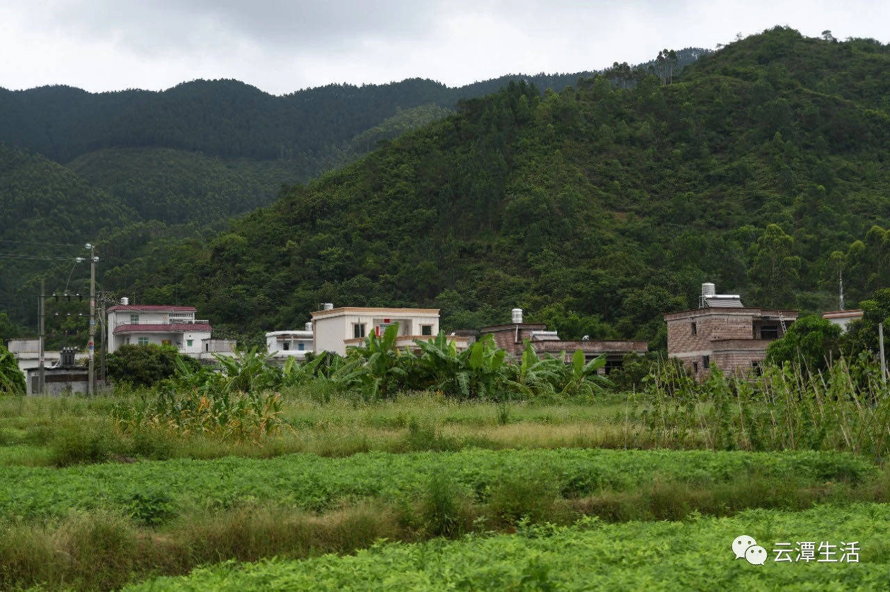 阿萦家所在的云潭镇附近村庄.图源自网络.