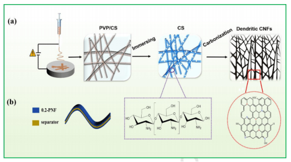 (a)pnf的制备示意图.(b)对称的sc结构.