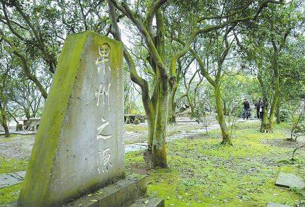 市树市花评选 来看看南充哪些树花呼声高