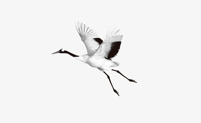 成语"爱鹤失众"是什么意思,有什么典故?