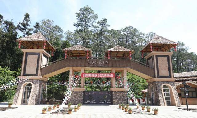 干巴菌的诱惑 就在石屏龙韵养生谷