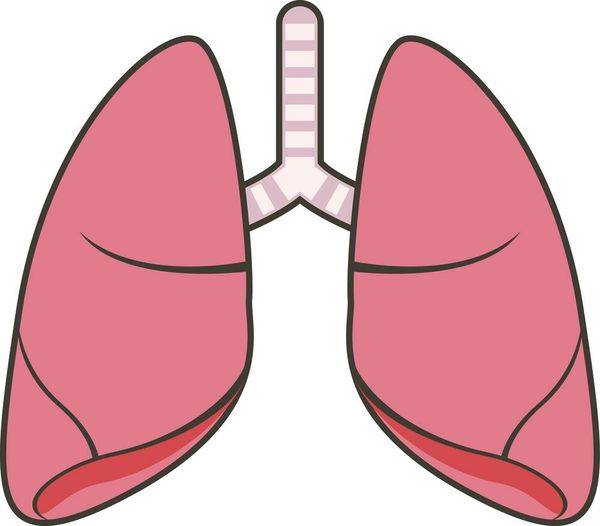 为什么吹气球对肺气肿有一定辅助作用呢?