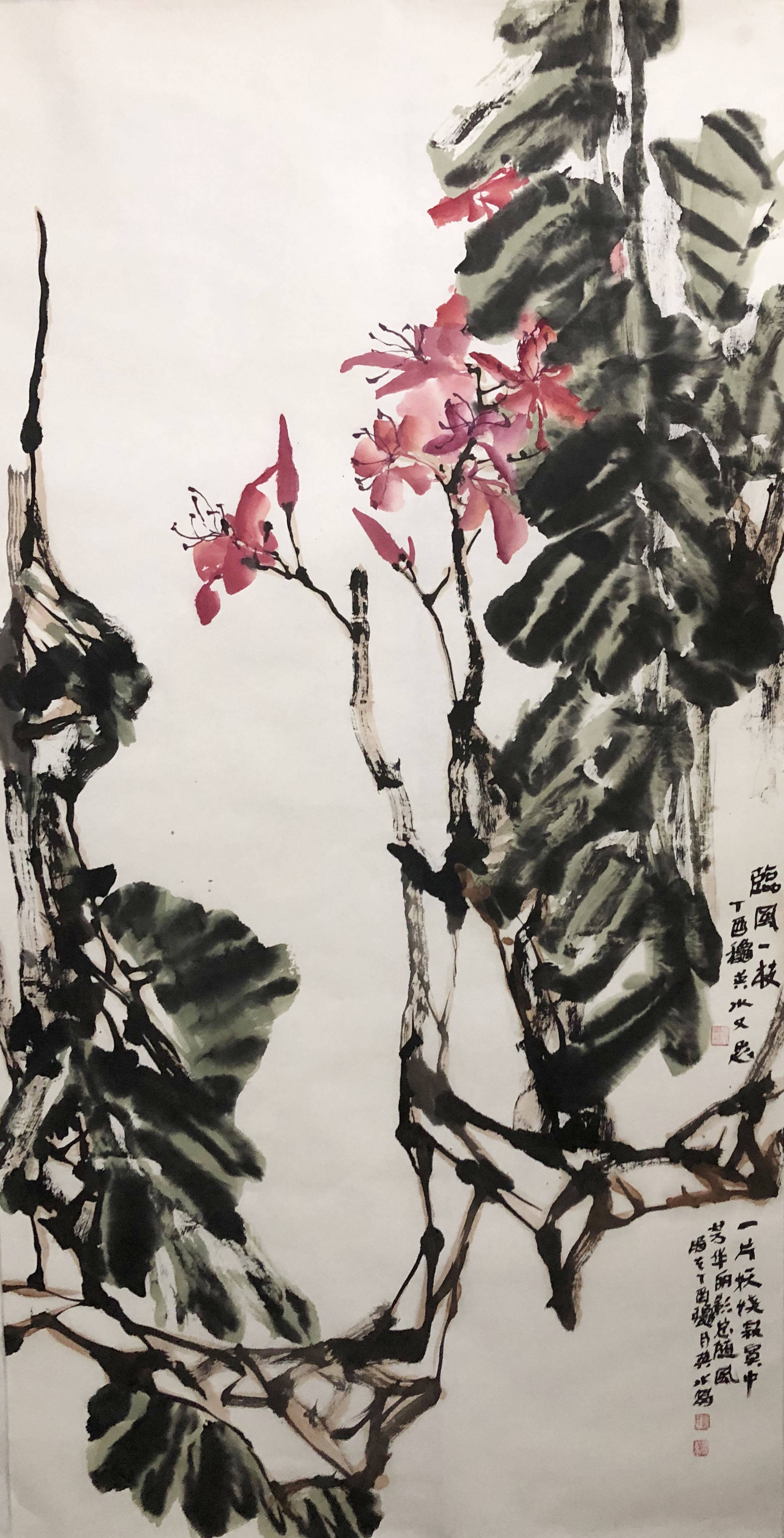 人民美术家--笔所未到气已吞:花鸟画家赵英水_水先生