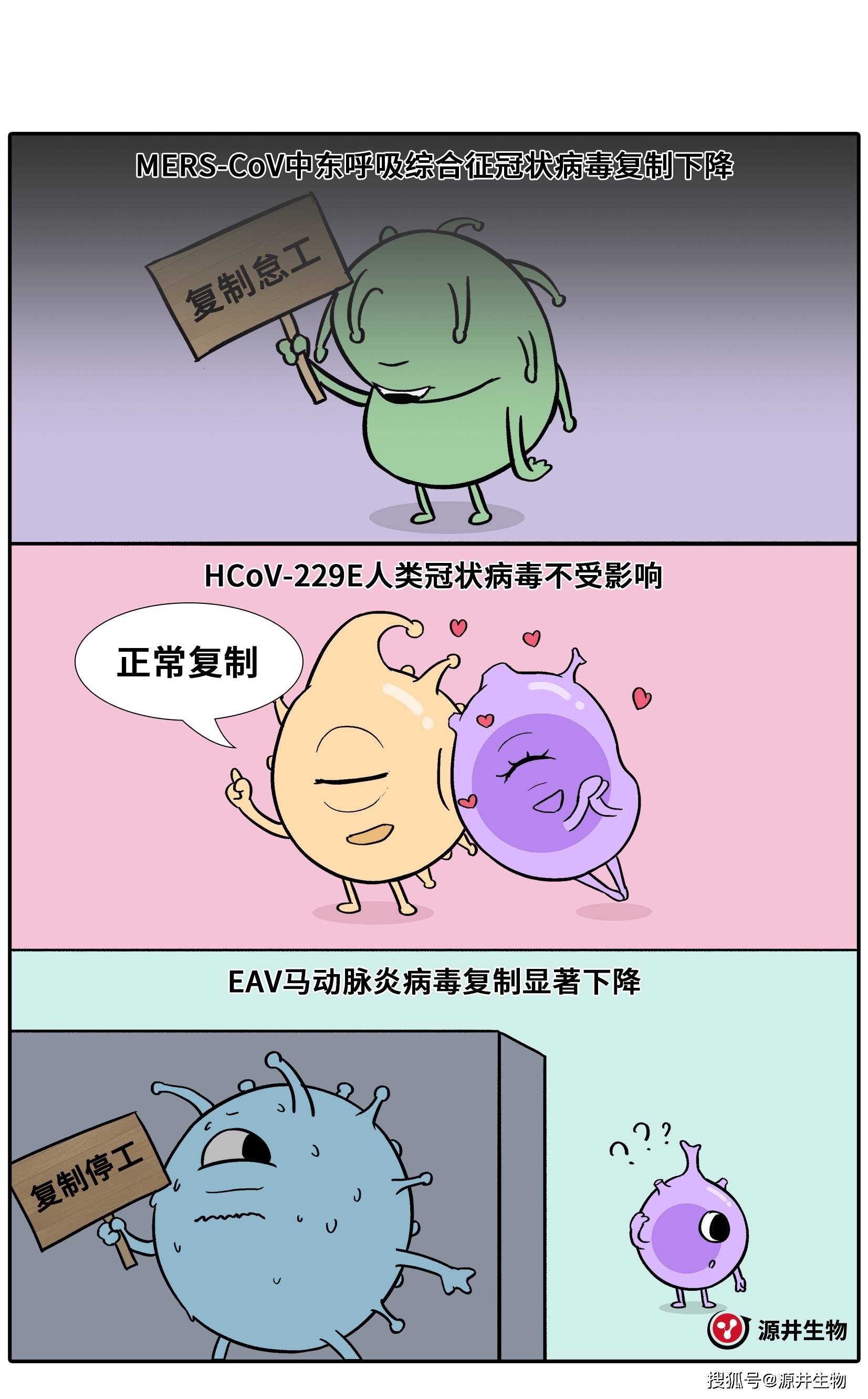 【漫画科普】huh