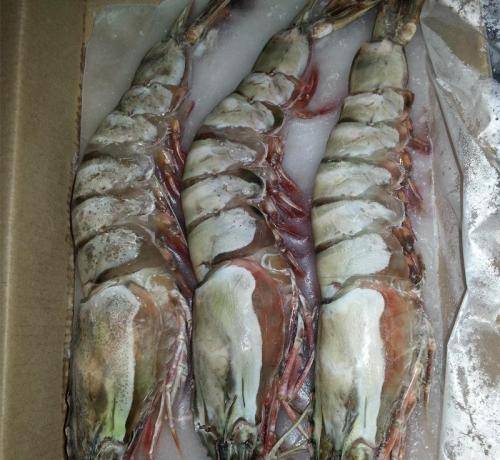 严控进口冷冻海鲜肉类拟定境外食品加工厂列入黑名单