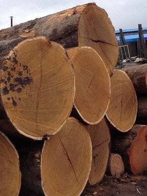 进口苏里南木材木材清关报关需要准备的资料有哪些