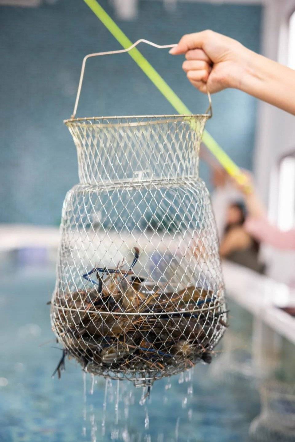 200㎡透明玻璃室内钓虾馆全场任钓现吃7种口味任选