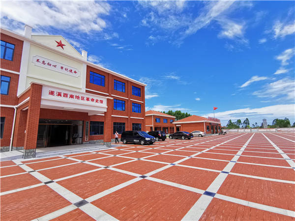 乡村振兴湛江遂溪河头镇打造三农转型示范镇推动乡村振兴