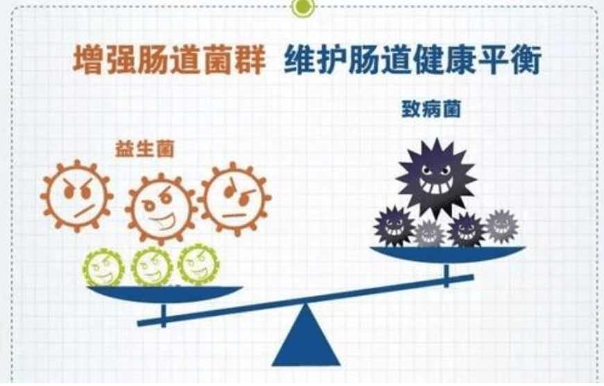 肠道菌群不平衡与益生菌有哪些关系呢?_手机搜狐网