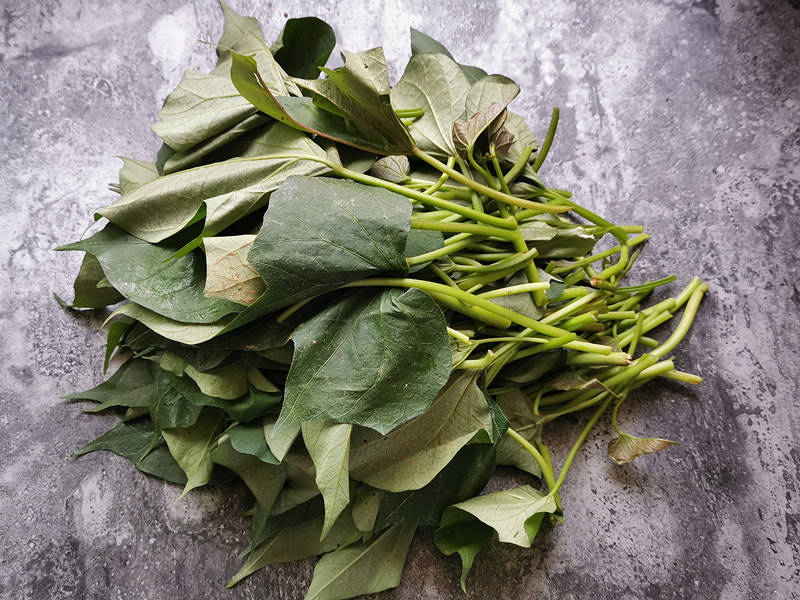 摘好的地瓜茎叶放入水盆里,加半勺盐浸泡一会儿,再清洗干净