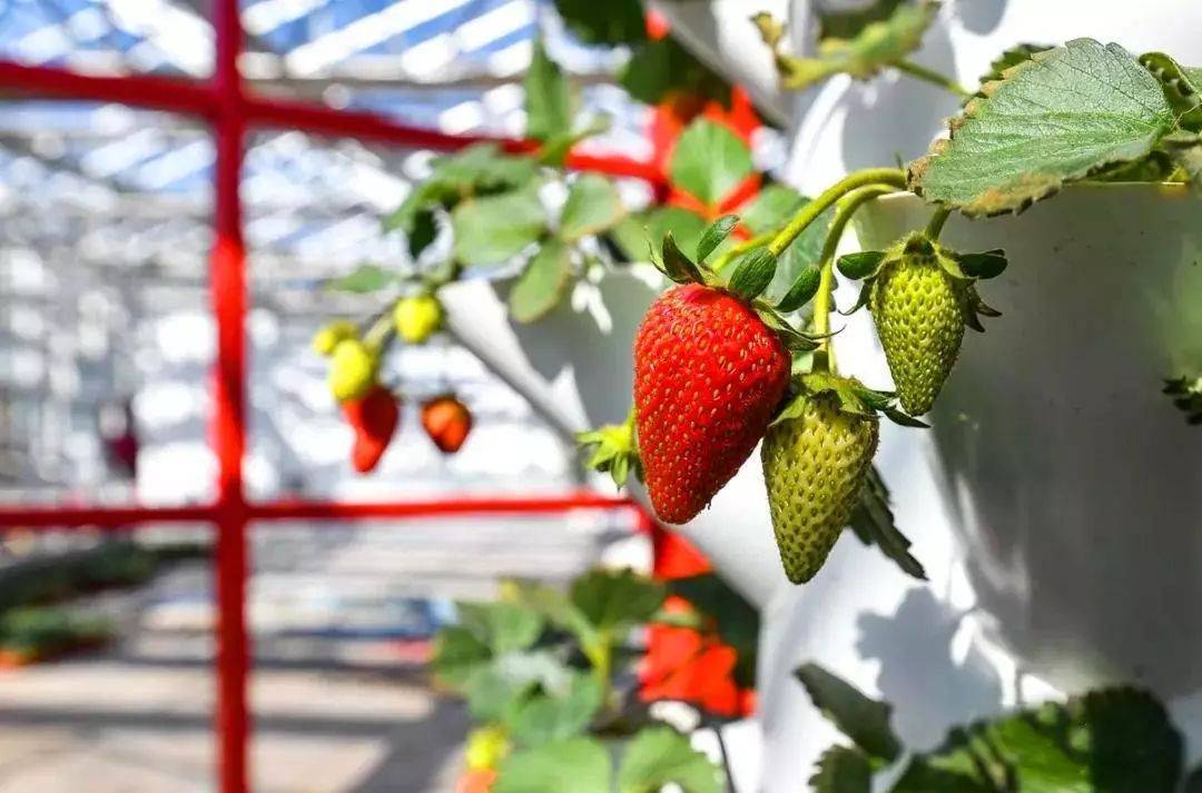 斗罗大陆之舞桐斗罗大陆之舞桐被奸图图曝光引发全网热议，剧情反转令人震惊，角色命运走向成谜，粉丝呼吁官方给出合理解释。