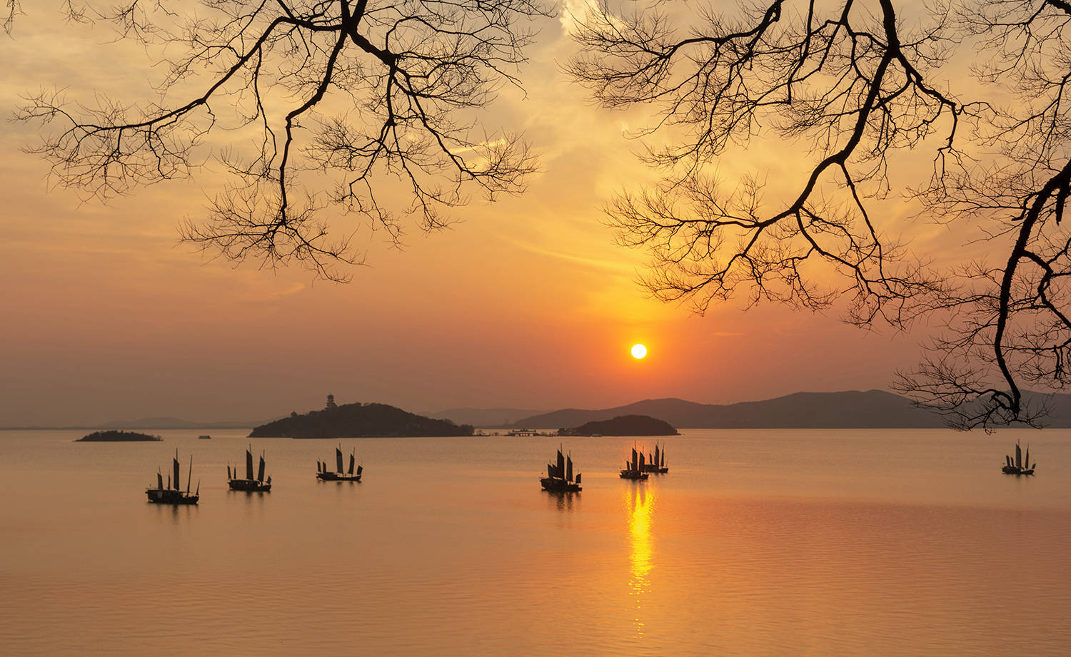每日图片精选|新疆,太湖,江南古运河