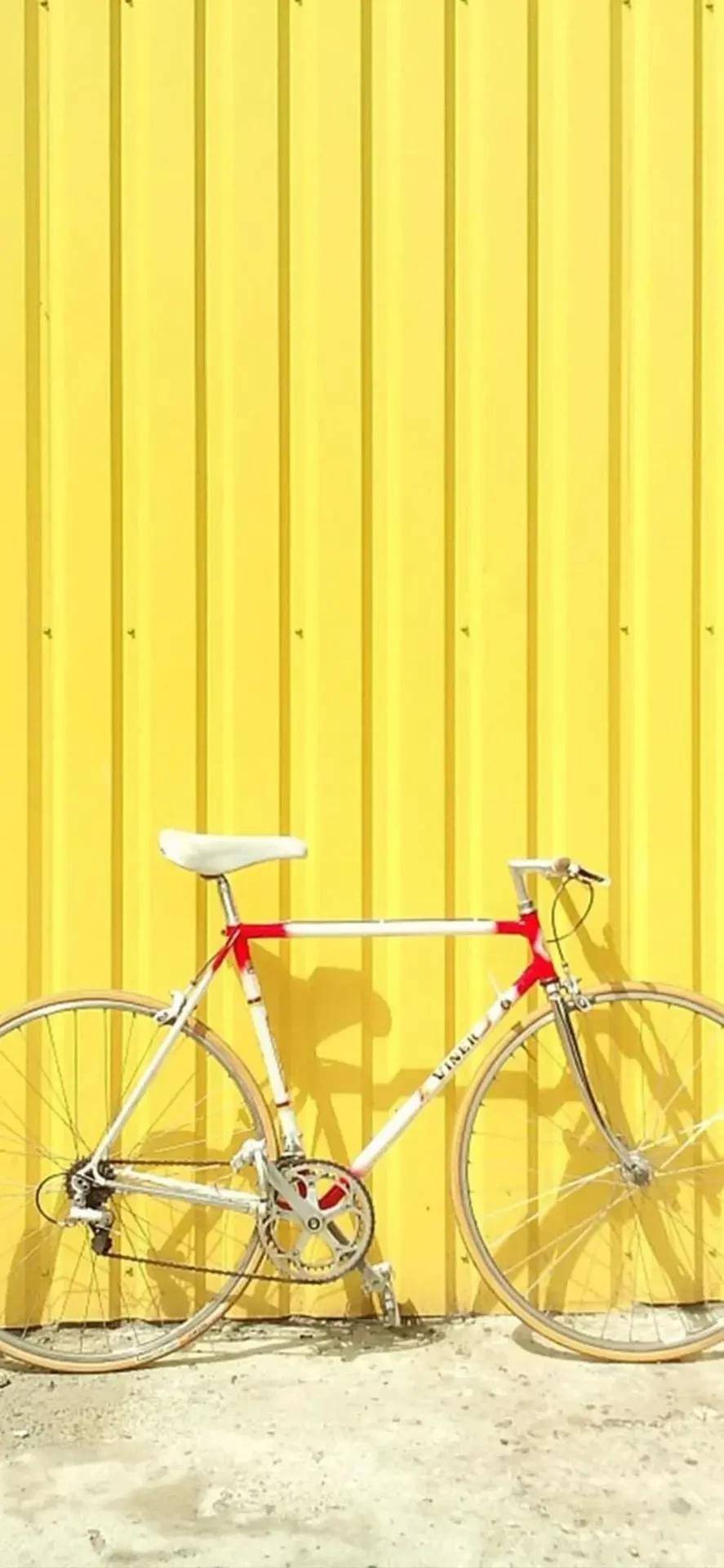 壁纸精选 | 今天来点黄,不说污段子