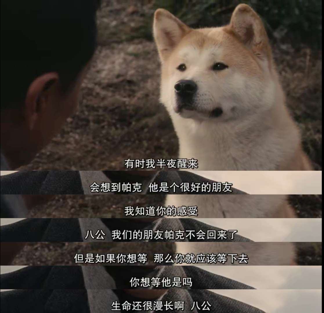 忠犬八公的故事台词图片